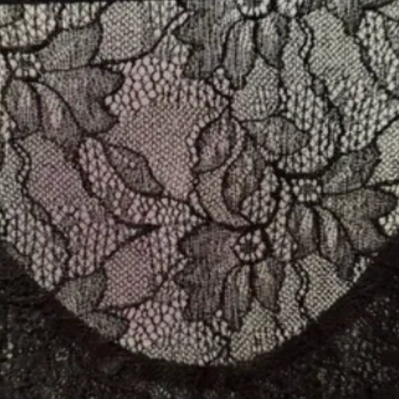 Brand New By Anthropologie Seamed Lace Bodysuit - Picture 7 of 7